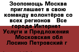 Зоопомощь.Москва приглашает в свою команду волонтёров со всех регионов - Все города Интернет » Услуги и Предложения   . Московская обл.,Лосино-Петровский г.